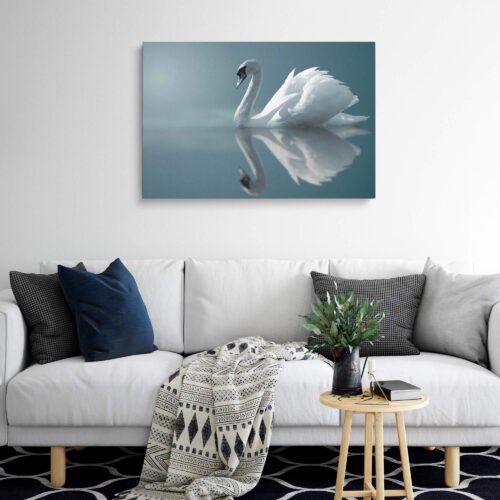 Graceful Reflections - Wall Art Prints - The Mirrored Beauty of a Swan on the Lake. This canvas print serves as a gentle reminder of the harmony and balance found in nature. It captures the essence of the swan's grace and the reflective nature of water, inspiring a deeper connection with the natural world and a sense of inner peace.