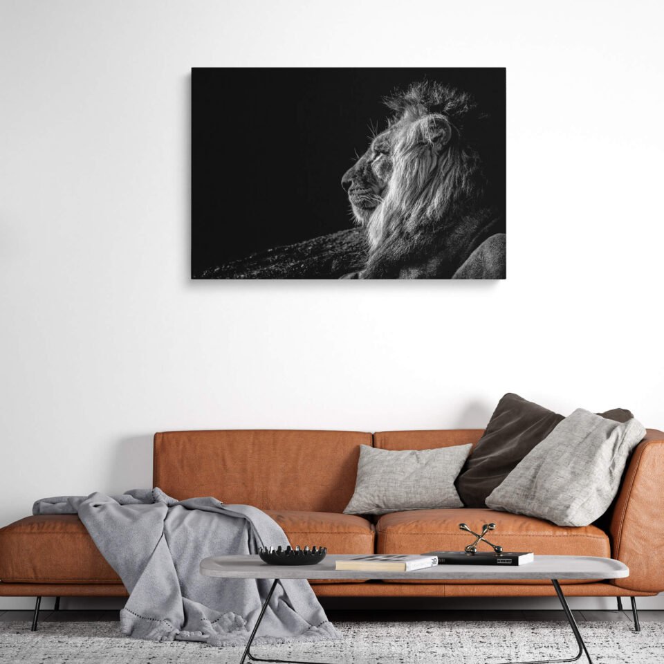 Regal Contours - Lion Profile - Image 2