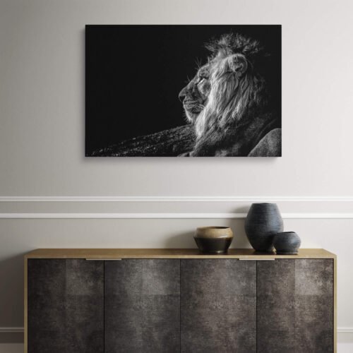 Regal Contours - Black and White Lion Profile on Canvas Prints. This canvas print serves as a reminder of the lion's symbolism as the king of the animal kingdom, representing courage, leadership, and resilience. It captures the essence of the lion's regal spirit, inspiring a deeper connection with nature and a greater appreciation for the majestic creatures that inhabit our world.