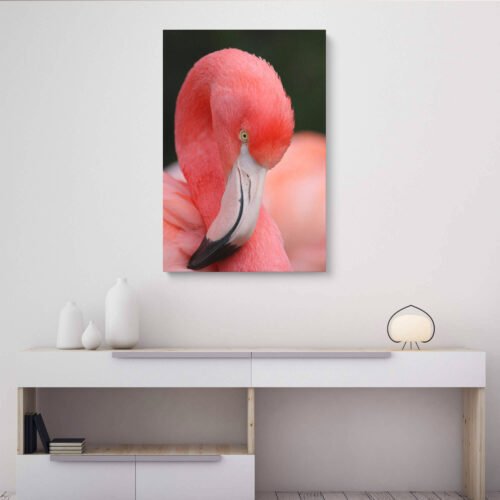  Blushing Elegance - Pink Flamingo on Canvas Art Prints Let its gentle presence and vibrant colors transform your space into a sanctuary of beauty and inspiration. Elevate your decor with this striking artwork that celebrates the captivating allure of one of nature's most graceful creatures.