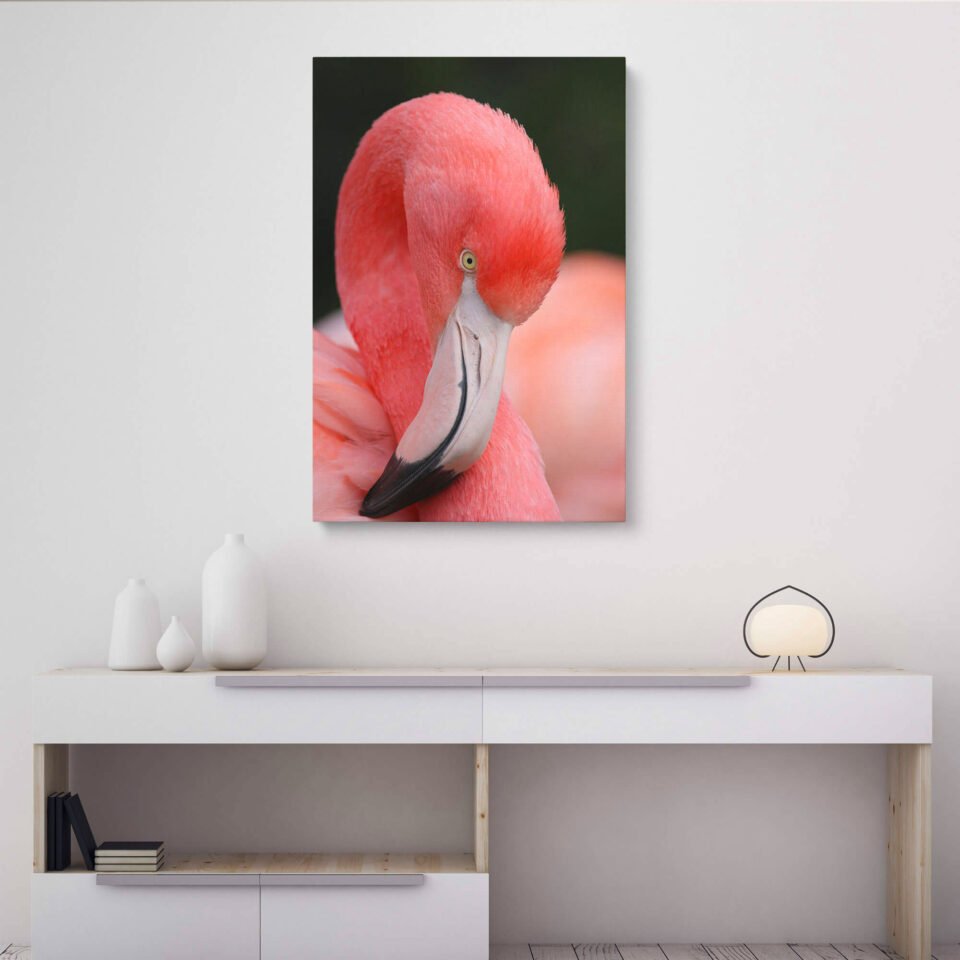  Blushing Elegance - Pink Flamingo on Canvas Art Prints Let its gentle presence and vibrant colors transform your space into a sanctuary of beauty and inspiration. Elevate your decor with this striking artwork that celebrates the captivating allure of one of nature's most graceful creatures.