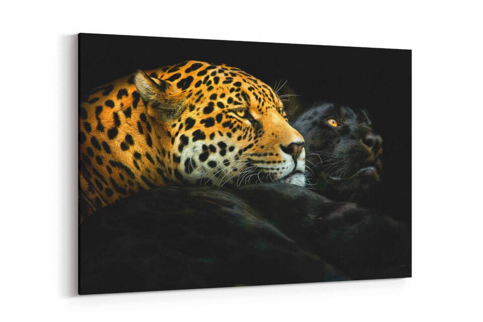 Shadowed Majesty - Canvas Art - Image 4