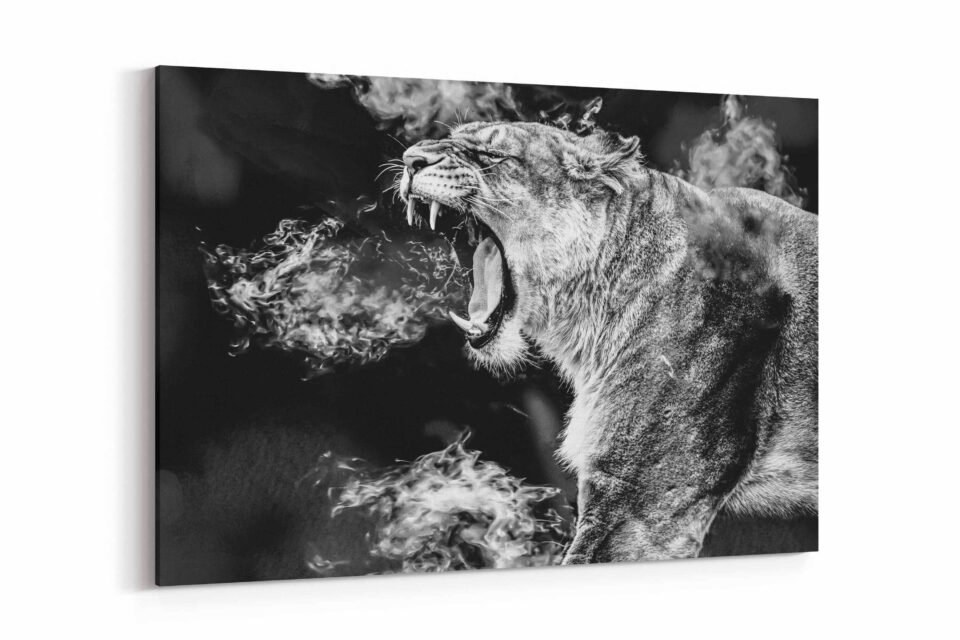 Black and White Lioness - Image 3