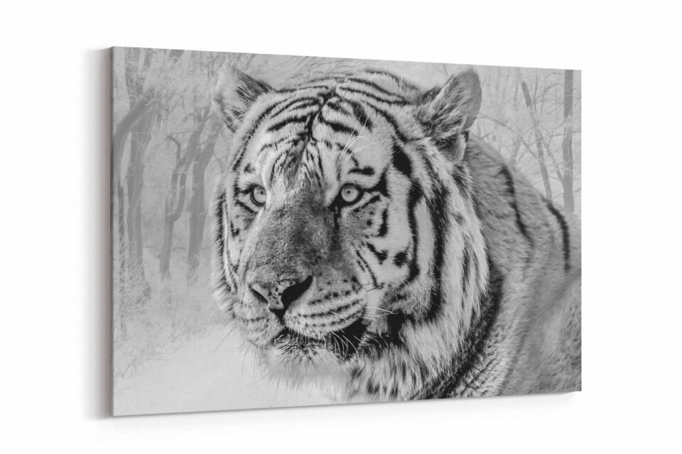 Infinite Majesty - Animal Prints - Image 3
