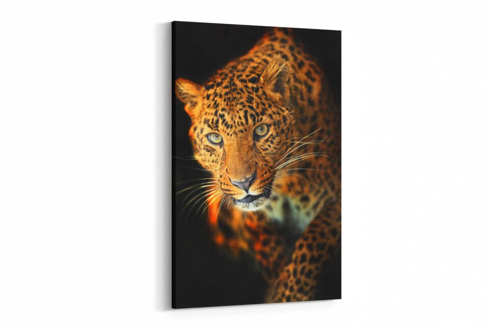 Leopard - Wildlife Wall Art - Image 3