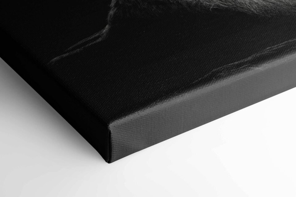 Monochrome Majesty - Canvas Art - Image 5