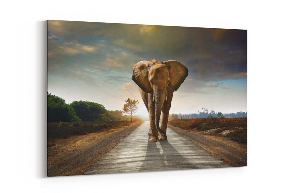 African Elephant - Animal Wall Art - Image 3