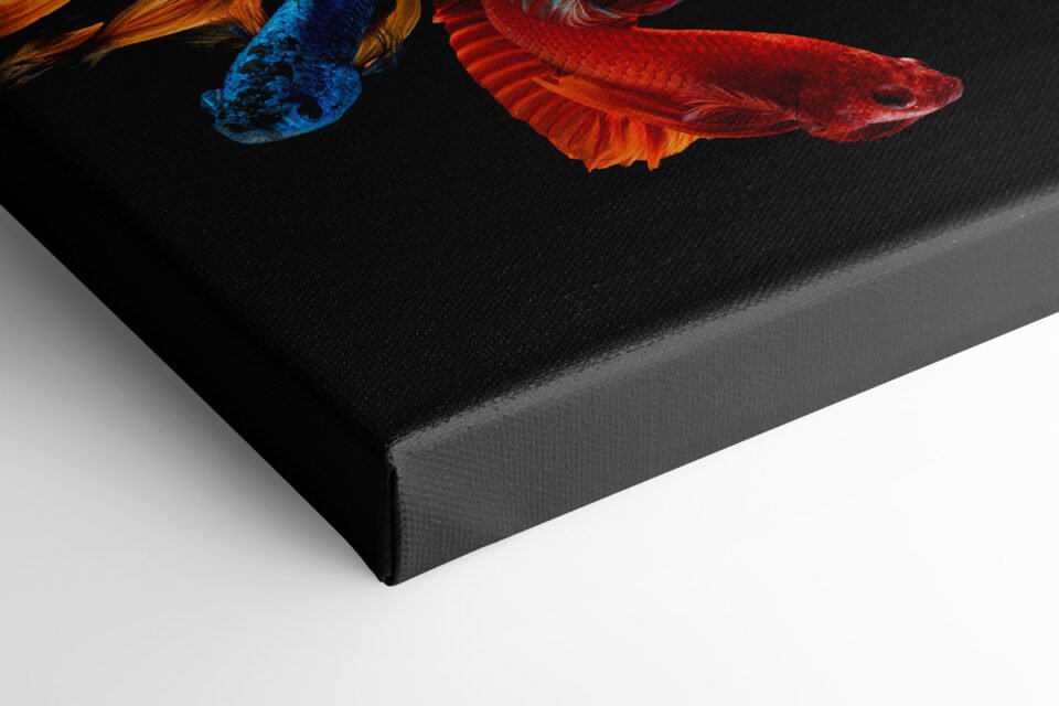 Betta Fish - Fine Art - Image 5