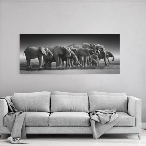 Majestic Encounters - Wildlife Wall Art African Elephants at Chobe River -  Canvas Wall Art Prints. In this collection, the monochromatic tones add a timeless and elegant touch to the powerful presence of African elephants. The absence of color allows you to focus on the intricate details, capturing the essence of these majestic creatures in their natural habitat.