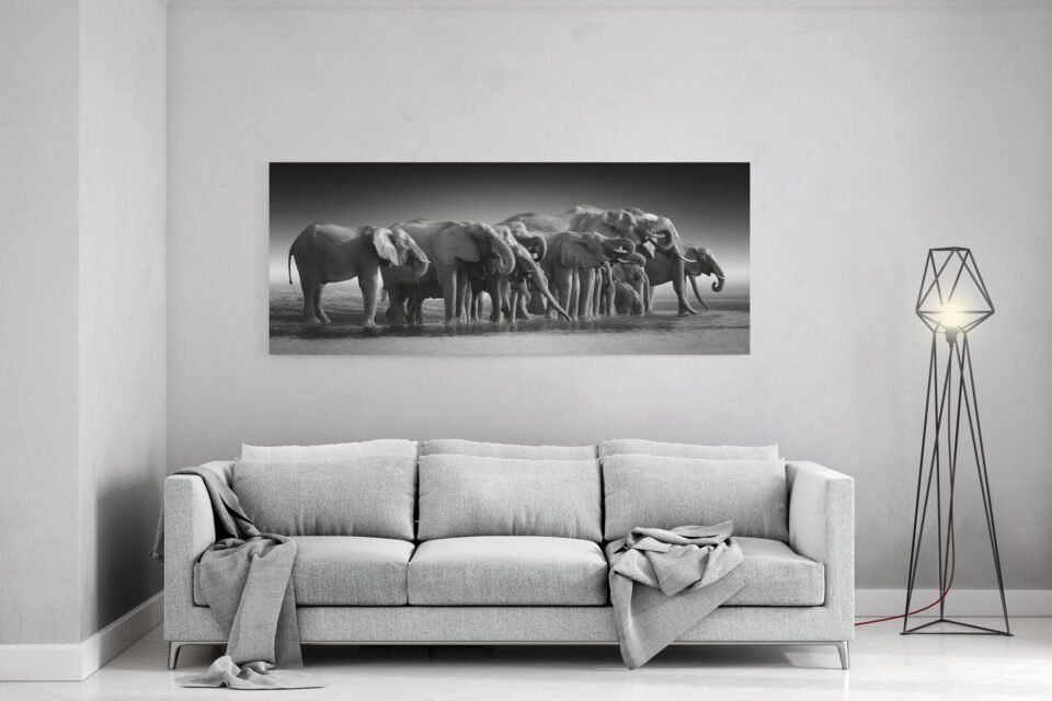 Majestic Encounters - Wildlife Wall Art African Elephants at Chobe River -  Canvas Wall Art Prints. In this collection, the monochromatic tones add a timeless and elegant touch to the powerful presence of African elephants. The absence of color allows you to focus on the intricate details, capturing the essence of these majestic creatures in their natural habitat.