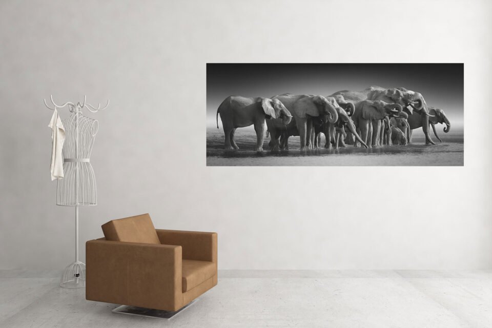 Majestic Encounters - Wall Art - Image 4