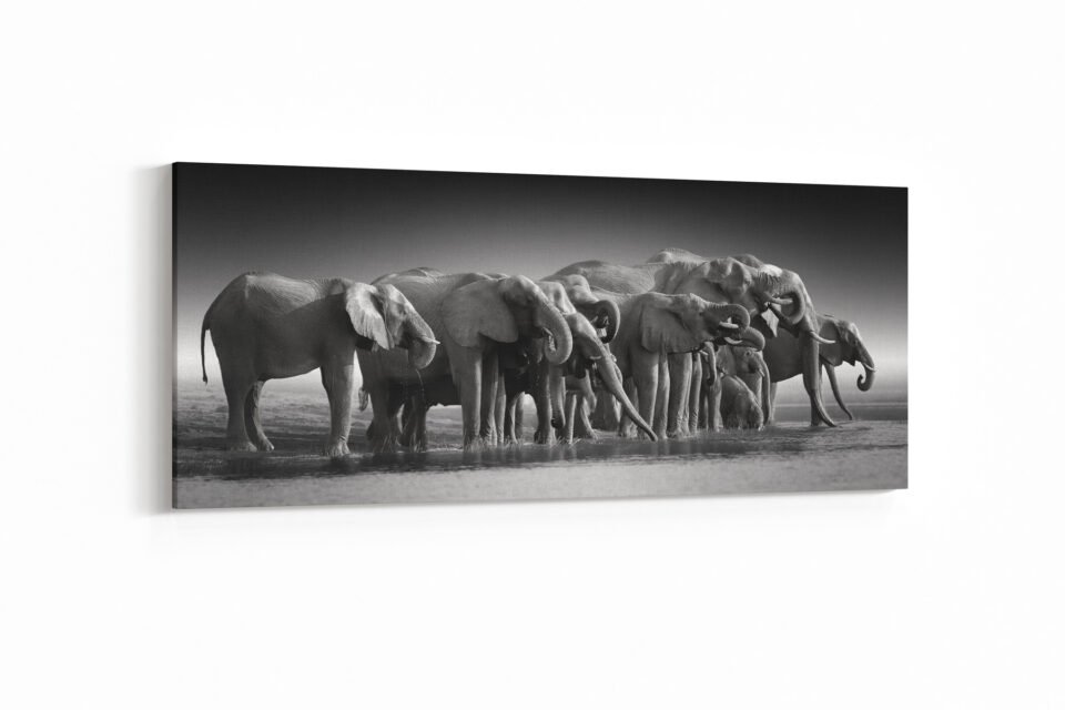 Majestic Encounters - Wall Art - Image 3
