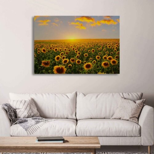 Sunny Sunflower - Floral Prints. With meticulous attention to detail, this canvas print transports you to a world of serene beauty and natural splendor. The golden hues of the rising sun cast a warm and gentle glow across the landscape, illuminating the sunflowers and creating a captivating play of light and shadow.