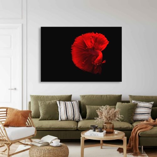Crimson Betta - Canvas Art Prints- Underwater Beauty in a Black Abyss. "Crimson Betta" celebrates the beauty of underwater life, inviting viewers to immerse themselves in the captivating world of these fascinating creatures. Set against a deep black background, the betta fish's crimson hues shine brilliantly, creating a mesmerizing contrast that draws the viewer's attention.