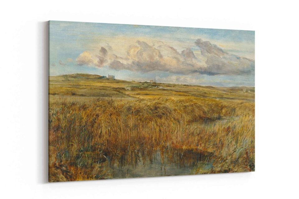 Golden Marshland - Image 3