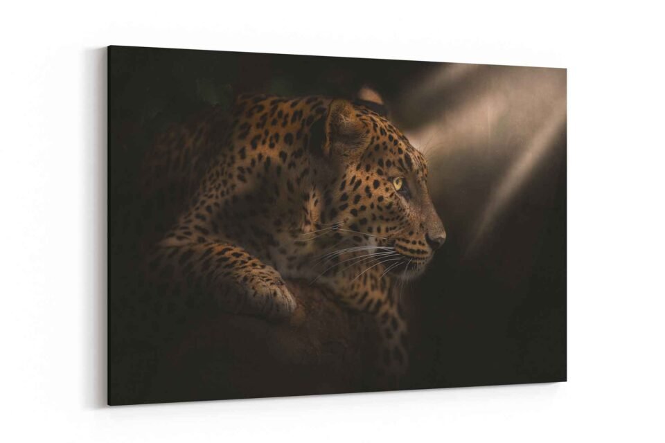 Sunlit Leopard Portrait Canvas Art - Image 3