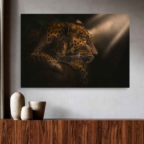 Sunlit Leopard Portrait Canvas Art